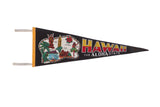 Vintage Hawaii Aloha State felt pennant with colorful island illustrations on black.