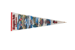 Niagara Falls Canada Felt Flag Pennant // ONH Item 11513