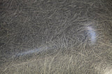 Close-up of elephant hide grey fiberglass shell, highlighting fibrous texture and swirls.