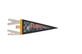 Dark felt Florida pennant with colorful vintage travel graphics and white tabs, 5x12.