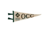 Vintage 1990s Oakland Community College felt pennant, dark green text on cream background.