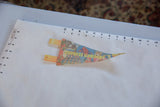Vintage Florida Cypress Gardens pennant shown to scale, measuring approximately nine inches long.