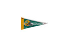 Vintage Green Bay Packers felt pennant featuring helmet and G logo.