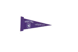 Vintage Wrigley Field Northwestern felt pennant in purple with white logos and printed text.