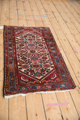 Vintage Borchalou rug detail with red, blue, and ivory Herati motif and serpent borders.