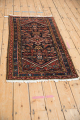 Original side selvage, dark navy, and madder red meandering vine Hamadan rug borders.