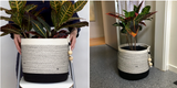 Ivory, gray, and black rope planter basket with a plant and wooden bead tassel.