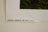 K Chin Lithograph bottom border showing copyright, 'Arthur A. Kaplan Co., N.Y.C.' and 'TW 216'.