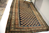 Vintage Kurdish Bijar rug with deep indigo Mir motif field and unique peach, geometric border.