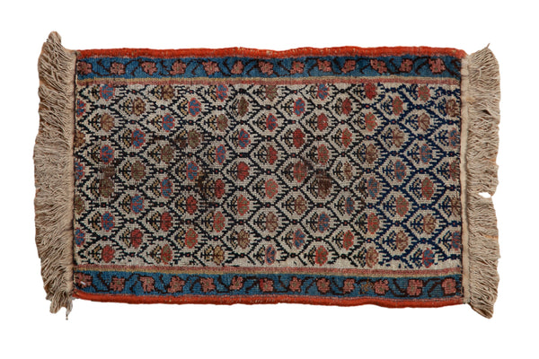 1.5x2.5 Antique Fragment Kurdish Rug Mat // ONH Item 11982
