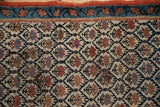 Antique Kurdish rug's ivory field with trellis design, germinating plants, navy, rust border.
