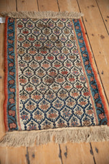 Close-up of antique Kurdish rug's trellis, germinating plants, and vine border in navy, rust, ivory tones.