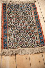 Ivory field with a trellis of germinating plants in rust, sky blue, and gold, with faux fringe.