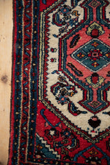 Close-up showing the meandering vine and seed borders of a hand-knotted vintage Hamadan rug.