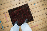 A person's overhead perspective shows the scale of the vintage German Sarouk mat.
