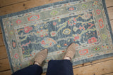 Distressed Oushak rug with floral palmettes, vines, and pomegranate border in blue tones.