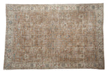 Distressed vintage Sparta carpet, allover faded coffee brown floral palmettes, 6'5