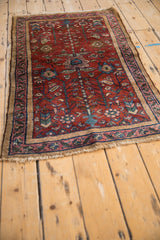 Detailed tree of life motif with serrated leaves on an antique Lilihan rug in red and blue.