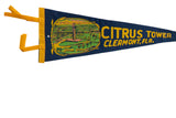 Yellow felt ties and stitched border detail of the vintage Florida pennant.