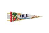 Vintage Naples Florida felt pennant, retro beach scene with palm tree, sun, and waves. 25x8.