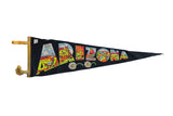 Vintage Arizona felt pennant featuring colorful landmark scenes within block letters on dark felt.