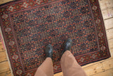 Senneh rug central field: rich navy, brick red Herati pattern, with even wear to knot heads.