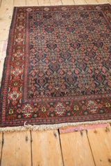 White fringe and red, blue, beige Samovar floral guls on vintage rug border.