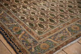 Vintage Sarouk rug corner with ivory field, green cypress trees, and serrated blue-terracotta border.