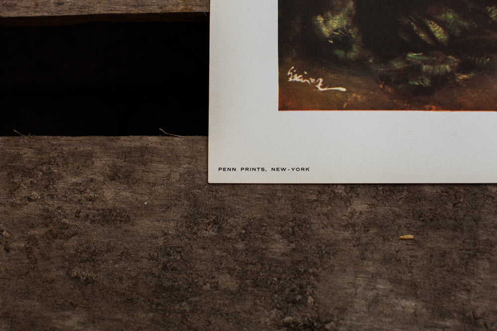 Gypsy Flamenco Dancer Lithograph // ONH Item 1266 Image 1