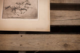 Henry Ziegler's signature on the aged, off-white matte of the horse etching.