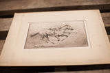 Henry Ziegler's signature and 