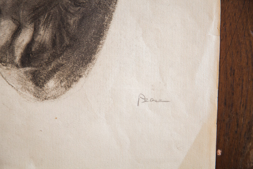 Drawing of Roman Bust // ONH Item 1325 Image 1