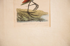 18th Century Hand Colored Chestnut Jacona // ONH Item 1336 Image 3