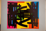 Dynamic Edgard Pillet abstract print with black geometric forms on vivid fuchsia, yellow, blue, and orange.