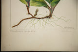 R.H. Greeley's signature and 
