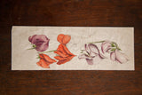 Original late 19th century antique orchid watercolor sketch with purple, orange, and pale pink flowers.