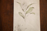 Antique watercolor sketch featuring dainty white flowers and green Magnolia Stellata, circa 1870s.