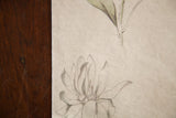 Casually sketched Magnolia Stellata flower with subtle watercolor washes on antique paper.