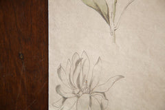 Antique Dainty Flower Watercolor, Casual Sketch Series // ONH Item 1395 Image 2