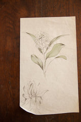 Late 19th century casual flower sketch on aged paper, highlighting visible corner tear.
