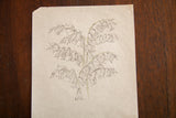Antique watercolor sketch of bell-shaped flowers with charcoal line work and soft celadon accents.