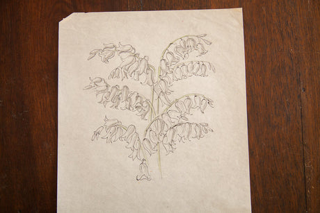 Antique Bell Shaped Flowers in Watercolor, Casual Sketch Series // ONH Item 1396