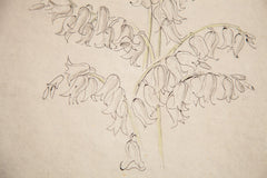 Antique Bell Shaped Flowers in Watercolor, Casual Sketch Series // ONH Item 1396 Image 2