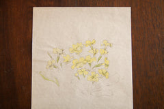 Antique Yellow Wildflowers in Watercolor, Casual Sketch Series // ONH Item 1397 Image 2