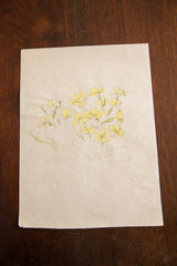 Antique Yellow Wildflowers in Watercolor, Casual Sketch Series // ONH Item 1397 Image 3