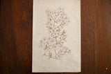 Antique Prunus watercolor sketch, soft lavender blossoms, subtle corner discoloration, titled Prunus.