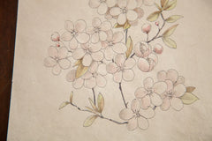 Antique Prunus Watercolor, Casual Sketch Series // ONH Item 1398