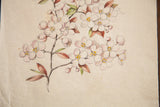 Light lavender prunus blossoms, bronze branches, and green leaves in watercolor.