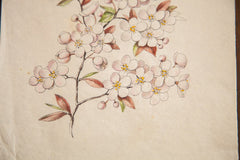Antique Saturated Prunus Watercolor, Casual Sketch Series // ONH Item 1399 Image 2