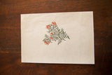 Folded upper right corner of the antique deathberries watercolor.